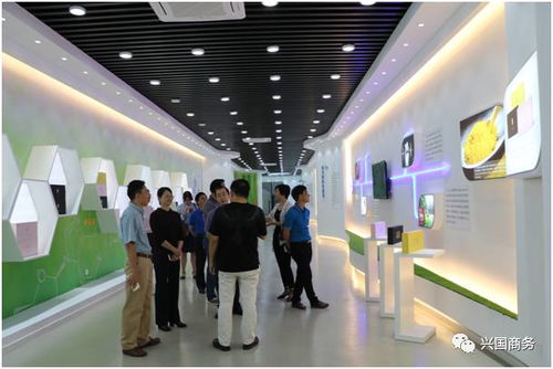 興國(guó)今天發(fā)生的事......9.30